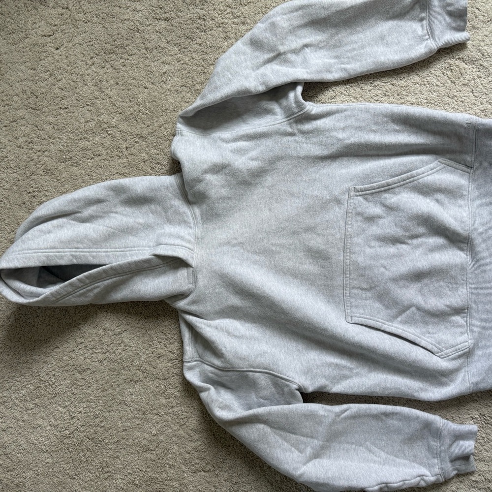 Aritzia Light Gray Hoodie